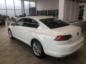 [VW Trần Hưng Đạo] giao ngay Passat Bluemotion đủ màu, trả trước 300 triệu lấy xe ngay, lãi suất vay thấp nhất