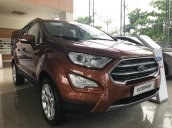 Bán Ford EcoSport 2018 khuyến mãi lớn cuối năm, giảm tiền mặt hấp dẫn + góI PK 40tr cao cấp kèm theo