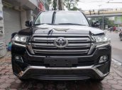 Cần bán gấp Toyota Land Cruiser VX.R 4.6 AT đời 2017, màu đen, nhập khẩu nguyên chiếc