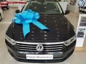 Volkswagen Passat Bluemotion - Xe Đức nhập khẩu, tặng 100% phí trước bạ | Hotline: 090-898-8862