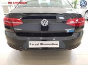 Volkswagen Passat Bluemotion - Xe Đức nhập khẩu, tặng 100% phí trước bạ | Hotline: 090-898-8862