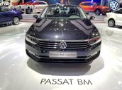 Volkswagen Sài Gòn cần bán chiếc xe Volkswagen Passat Comfort năm 2018, màu xanh lam - Giá tốt nhất thị trường 