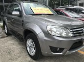 Cần bán Ford Escape XLT năm sản xuất 2010, màu xám