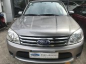 Cần bán Ford Escape XLT năm sản xuất 2010, màu xám