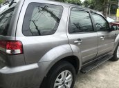 Cần bán Ford Escape XLT năm sản xuất 2010, màu xám