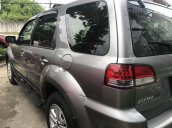 Cần bán Ford Escape XLT năm sản xuất 2010, màu xám