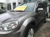 Cần bán Ford Escape XLT năm sản xuất 2010, màu xám