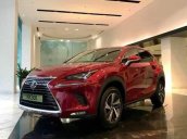 Bán Lexus NX 300 sản xuất năm 2019, màu đỏ, nhập khẩu