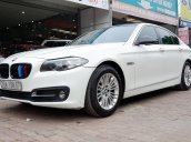 Cần bán xe BMW 5 Series 520i sản xuất 2014, xe nhập