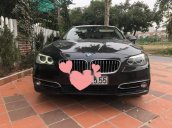 Bán BMW 5 Series 520i sản xuất 2014, màu đen