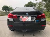 Bán BMW 5 Series 520i sản xuất 2014, màu đen