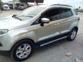 Bán Ford EcoSport đời 2017, màu bạc, xe nhập