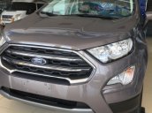 Cần bán xe Ford EcoSport 1.5 AT đời 2019, màu xám