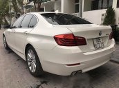 Cần bán BMW 5 Series 520i đời 2016, màu trắng, nhập khẩu nguyên chiếc