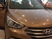 Bán ô tô Hyundai Santa Fe 2.4 AT sản xuất 2017