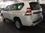 Bán xe Toyota Land Cruiser Prado VX năm sản xuất 2019, màu trắng, nhập khẩu nguyên chiếc