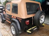 Cần bán lại xe Jeep Wrangler sản xuất 1996, xe nhập chính chủ