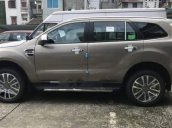 Cần bán Ford Everest đời 2018, nhập khẩu