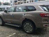 Cần bán Ford Everest đời 2018, nhập khẩu