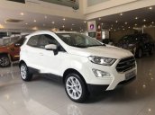 Cần bán Ford EcoSport 2018, màu trắng, mới 100%