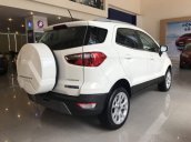 Cần bán Ford EcoSport 2018, màu trắng, mới 100%