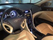 Bán Hyundai Sonata 2.0 AT sản xuất 2010, màu đỏ, xe nhập