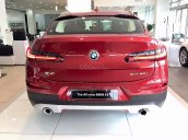 Bán BMW X4 Xdrive 20i 2019, màu đỏ, xe nhập