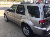 Bán xe Ford Escape XLS năm sản xuất 2011, màu ghi vàng, giá 495tr