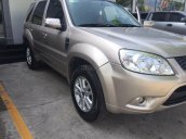 Bán xe Ford Escape XLS năm sản xuất 2011, màu ghi vàng, giá 495tr