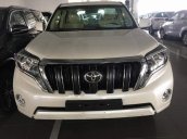 Bán ô tô Toyota Land Cruiser Prado VX năm sản xuất 2018, nhập khẩu