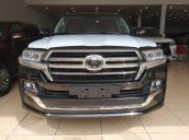 Bán Toyota Land Cruiser MBS 4 ghế VIP 2019, màu đen, nhập khẩu mới 100%