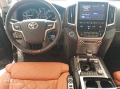 Bán Toyota Land Cruiser MBS 4 ghế VIP 2019, màu đen, nhập khẩu mới 100%