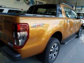 Cần bán xe Ford Ranger 2019, xe nhập