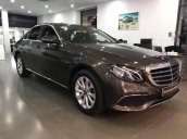 Cần bán xe Mercedes E200 đời 2018, màu nâu