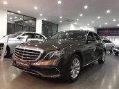 Cần bán xe Mercedes E200 đời 2018, màu nâu