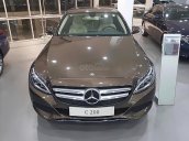 Bán xe Mercedes C200 đời 2019, màu nâu