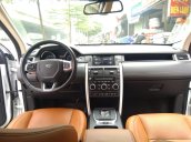 Cần bán LandRover Discovery Sport HSE Luxury năm sản xuất 2015, nhập khẩu