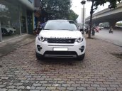 Cần bán LandRover Discovery Sport HSE Luxury năm sản xuất 2015, nhập khẩu