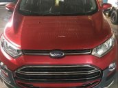 Cần bán gấp Ford EcoSport sản xuất 2017, màu đỏ, nhập khẩu nguyên chiếc