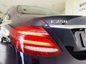 Bán xe Mercedes E250 sản xuất 2017, màu xanh lam 