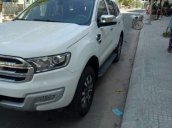 Bán xe Ford Everest sản xuất 2017, màu trắng số tự động, giá chỉ 975 triệu