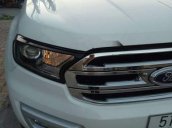 Bán xe Ford Everest sản xuất 2017, màu trắng số tự động, giá chỉ 975 triệu