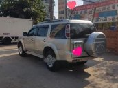 Bán ô tô Ford Everest 2009, màu vàng, nhập khẩu