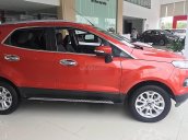 Cần bán lại xe Ford EcoSport năm 2017, xe nhập chính chủ