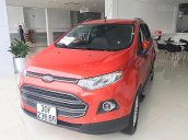 Cần bán lại xe Ford EcoSport năm 2017, xe nhập chính chủ