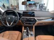 Bán BMW 520i năm 2019, màu đen, nhập khẩu