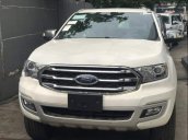 Cần bán xe Ford Everest 2019, màu trắng, xe nhập 