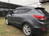 Cần bán Hyundai Tucson sản xuất 2010, nhập khẩu, giá 525tr