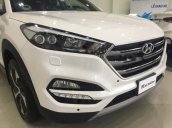 Bán Hyundai Tucson 1.6Turbo đời 2019, màu trắng, giá chỉ 892 triệu 