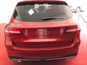 Bán Mercedes-Benz GLC 300 AMG 4Matic 2018 - Mỗi địa hình đều là thế mạnh